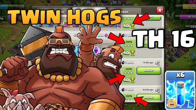 Twin Hogs TH16